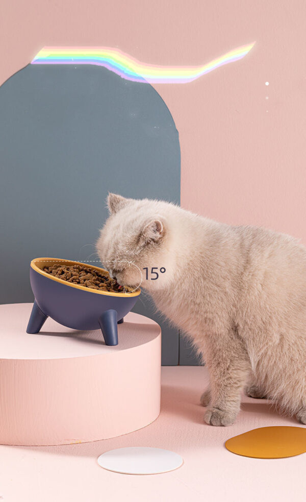 Cat Dog Bowl With Stand Pet Feeding Food Bowls Dogs Bunny Rabbit Nordic Color Feeder Product Supplies Pet Accessories - Image 7