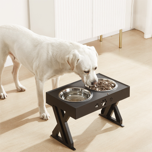 White dog eating out of an adjustable dog food stand with two metal bowls