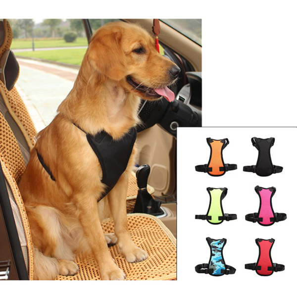 Car harness for your wonderful pet