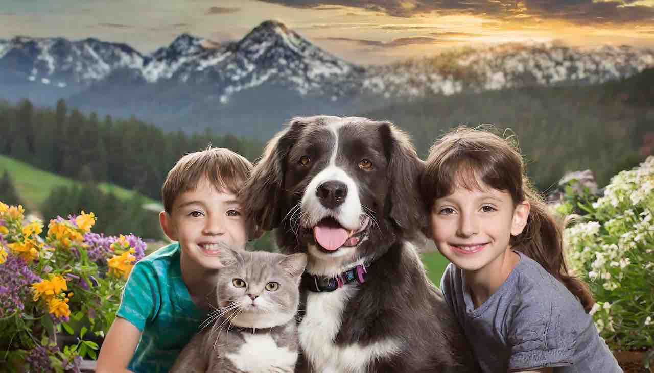 mountain background a young girl and young boy encompass a pet dog and pet cat