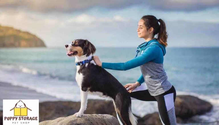 Crafting a Pet-Focused Exercise Routine for Owners