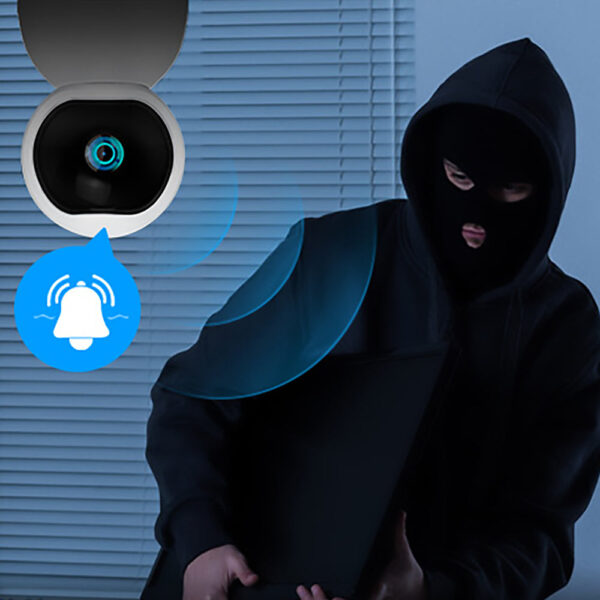 IP camera alerting to an intruder in the home