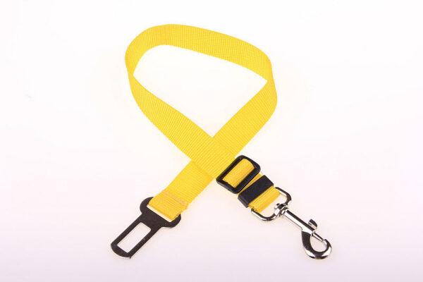 Fixed Strap Polyester Dog Strap Dog Leash Dog Leash - Image 12