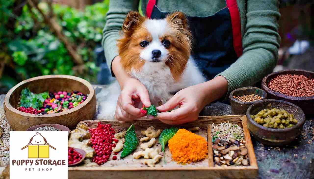 pet and owner crafting homemade meals