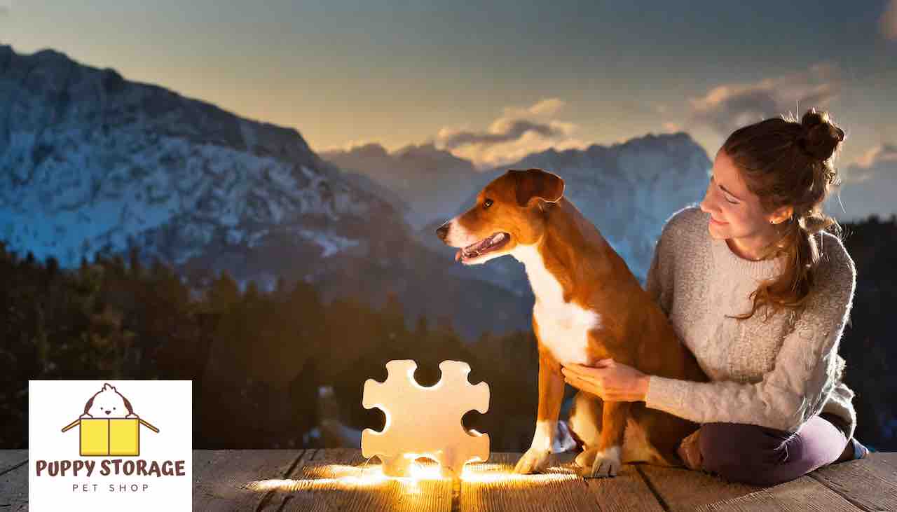 large puzzle with pet and owner looking out