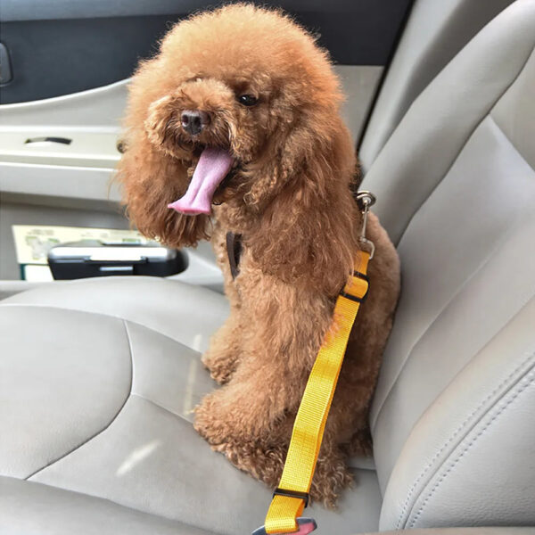 Awesome Yellow Pet Safe Seatbelt for Road Trips