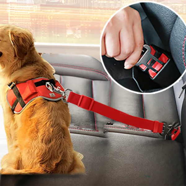 Awesome Pet Safe Seatbelt for Road Trips