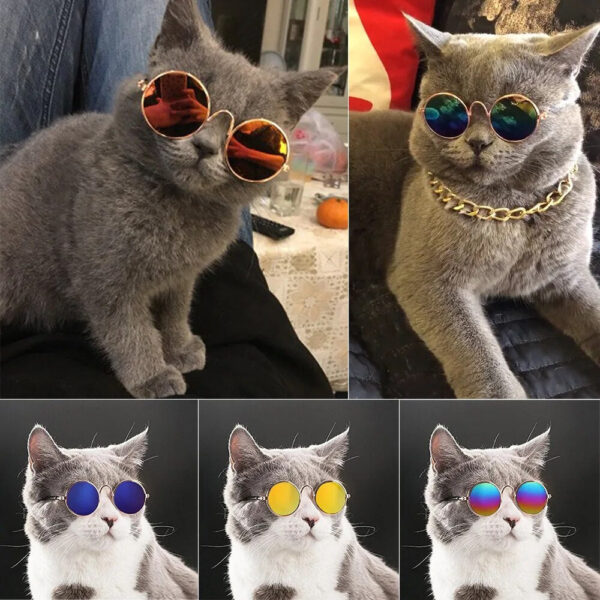 brown green blue yellow chrome cat glasses