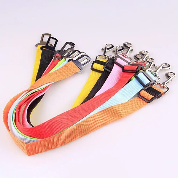 A collection of leashes for your pet