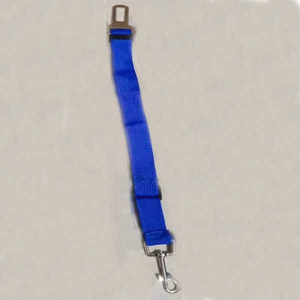 Blue Leash with an amazingly strong collar