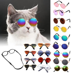 overview of different pet glasses available