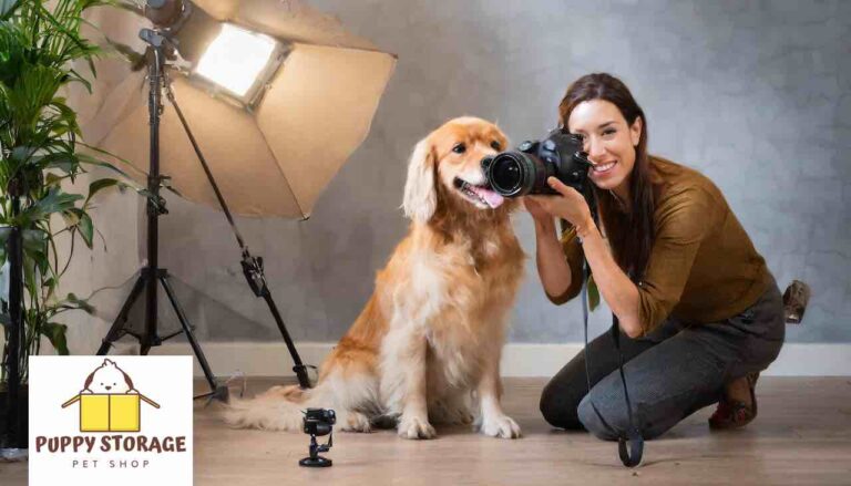 lady taking photo of pets