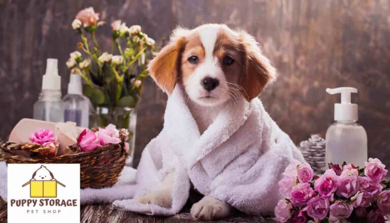 pampered pet enjoying spa day