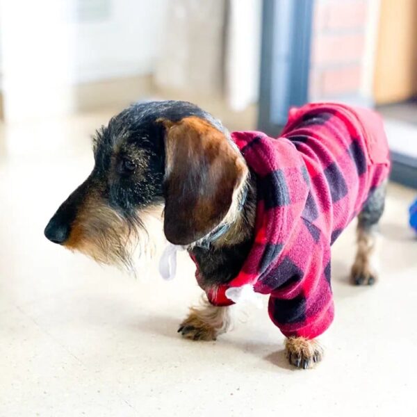 red and black plaid jacket for pet