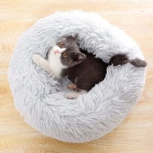 sweet comfortable cat bed