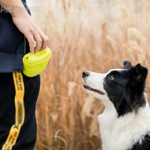 dog next to owner getting a quick reward from pouch of treats