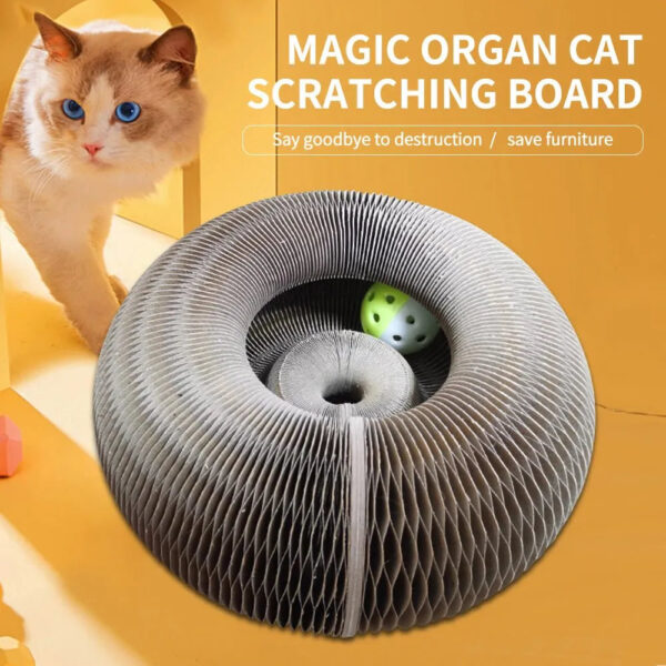 cat scratching board with ball inside showing