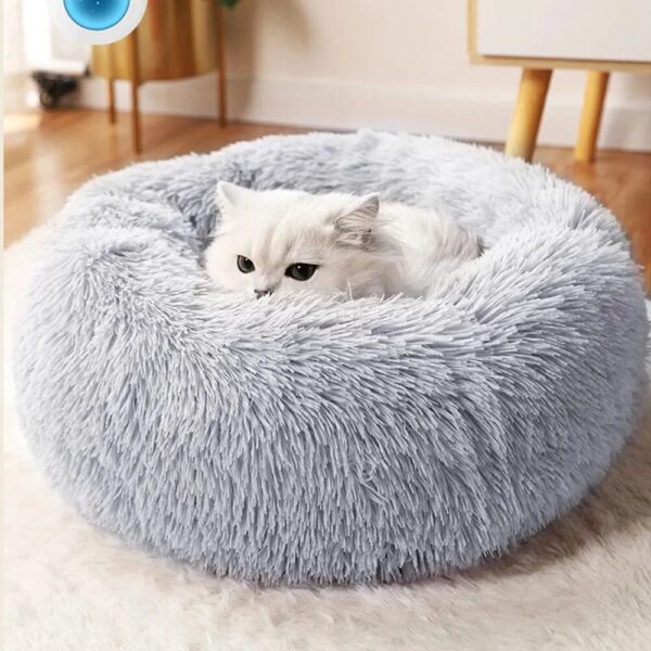 cat cuddled in a gray furry bed, so cute