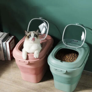 Kitty in a food container