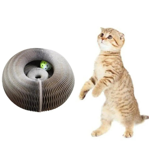 fun cardboard circular container with a ball for cats toy