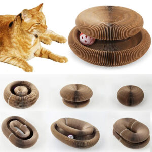 fun cat toy with multiple options for sizes shown and beautiful orange cat