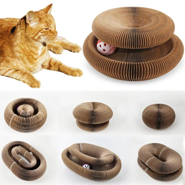 fun cat toy with multiple options for sizes shown and beautiful orange cat