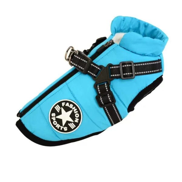 sky blue jacket for pet includes leash hooks on back