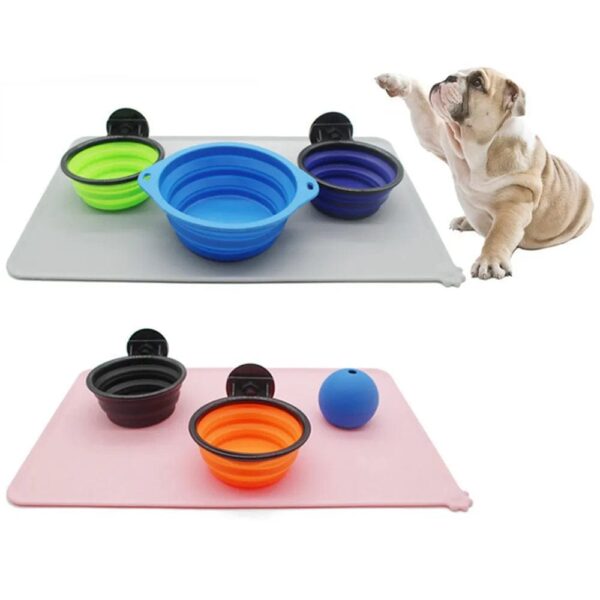 Plastic containers that can collapse with different colors for your pets food and drink