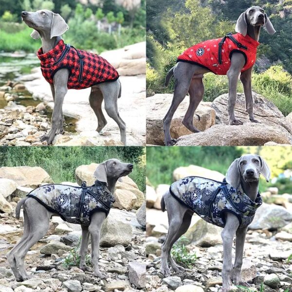 four different pattern options for pets jacket