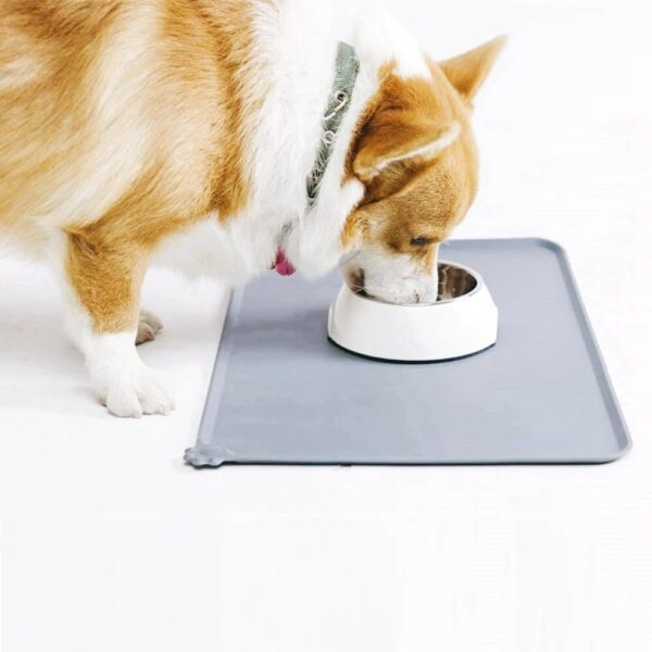 Wonderful pet bowl sitting on silicon mat