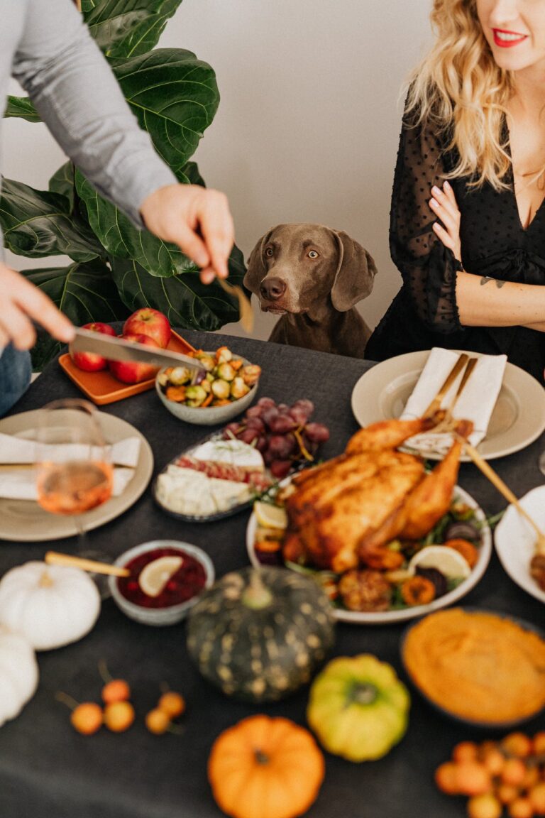 Thanksgiving Tails & Table Scraps: A Dog’s Guide to Surviving Turkey Day