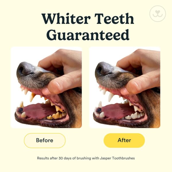 jasper whiter teeth guaranteed