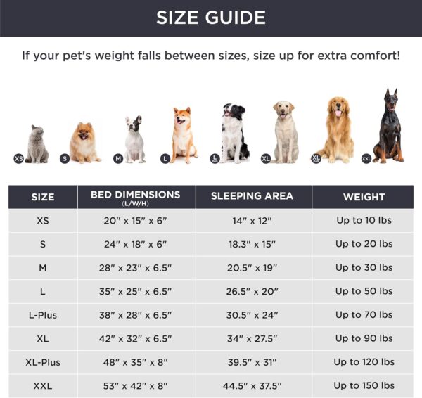 pet bed size options