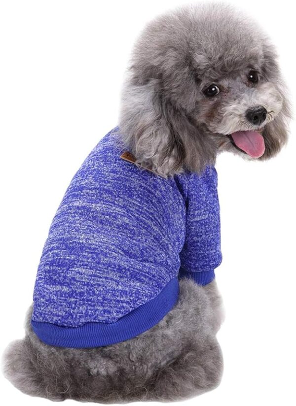 blue purple sweater for puppies