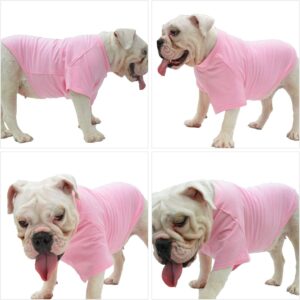 bulldog in pink shirt