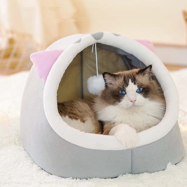 fluffy in cat bed with cat ears