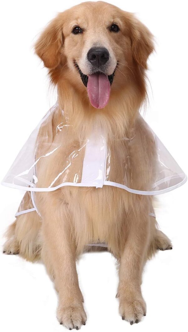 foward facing dog clear rain coat