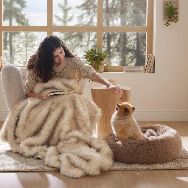 dog pet bed with owner