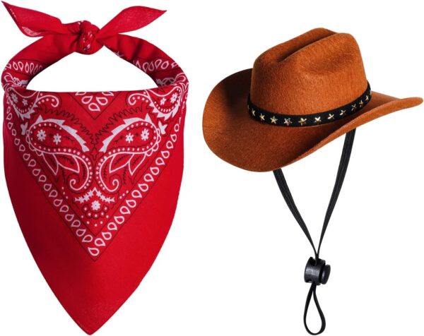 red bandana and cowboy hat