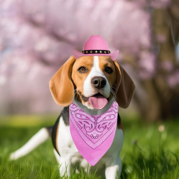 pink hat and bandana