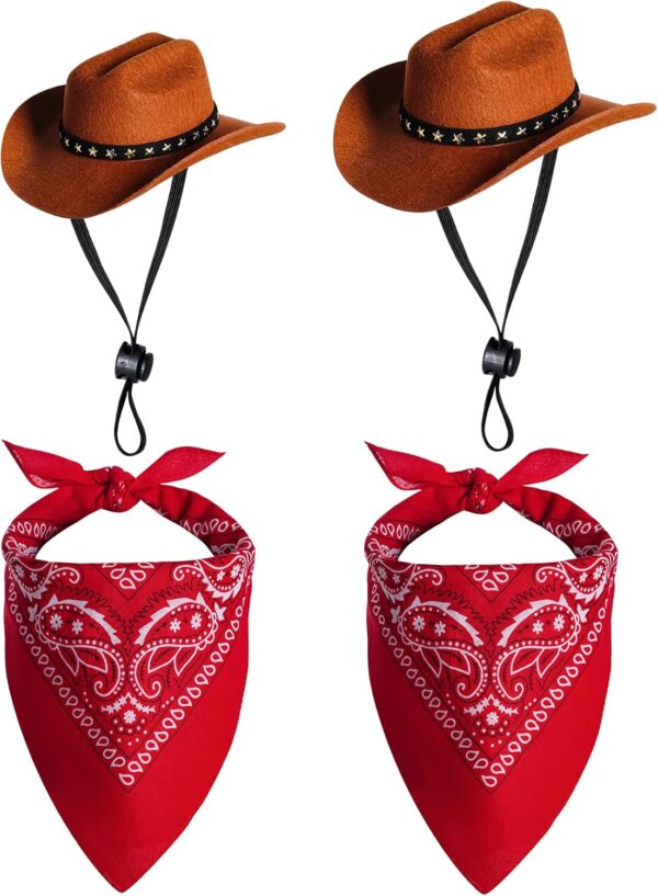 side by side cowboy hat and bandana