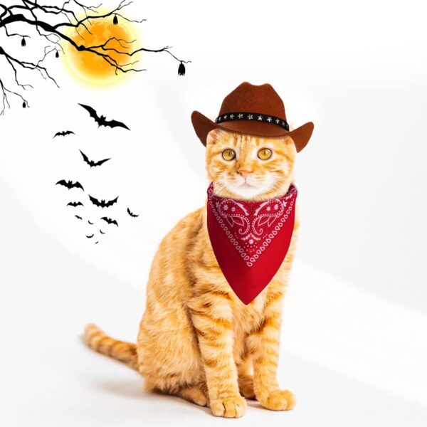 cat with cowboy hat and bandana