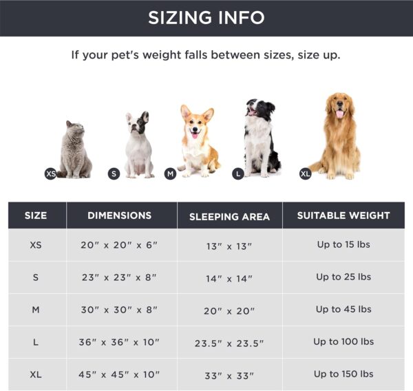 comfy dog bed sizes