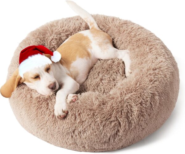 best pet bed for christmas