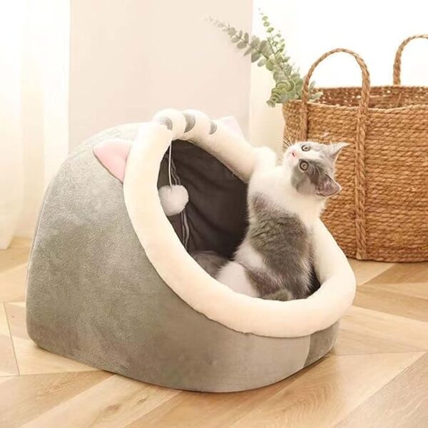 cute gray and white kitten hanging off cat bed with cat ears and built in toy