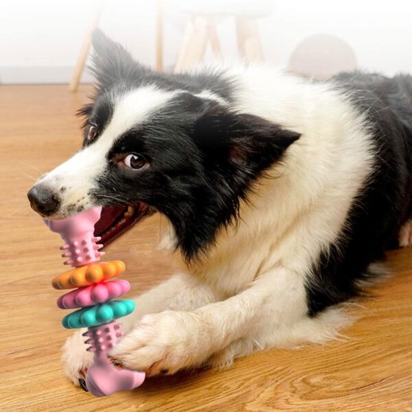 Dog Chew Toy Dog Bone Type  Dogs Teeth Cleaning Toys Indestructible TPR Bone Chewing Bite Resistant Teething Toys  Pet Products - Image 7