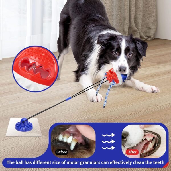 example of teeth cleaning with suction toy