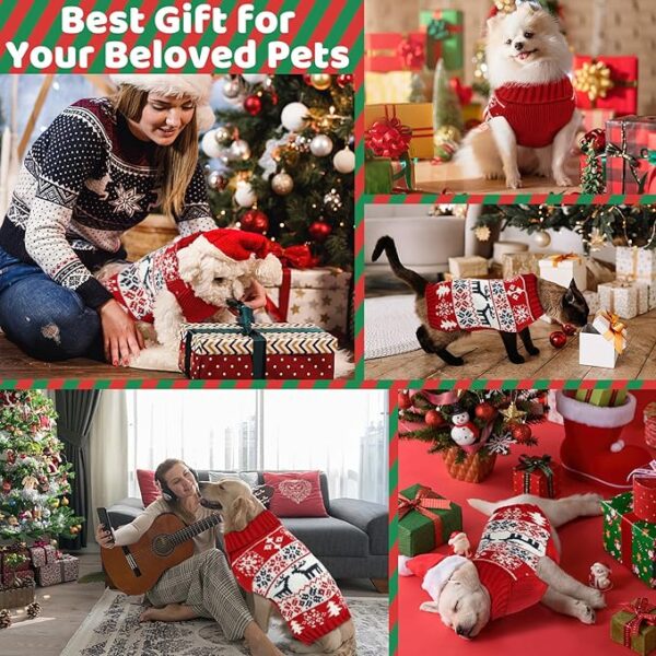 best gift to your fur babies