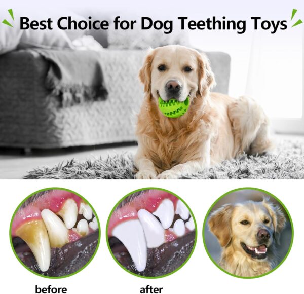 dog rubber ball can help clean pets teeth