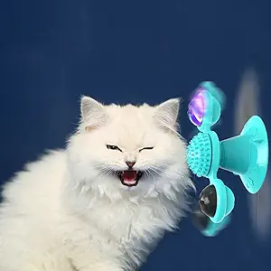 interactive cat windmill toy